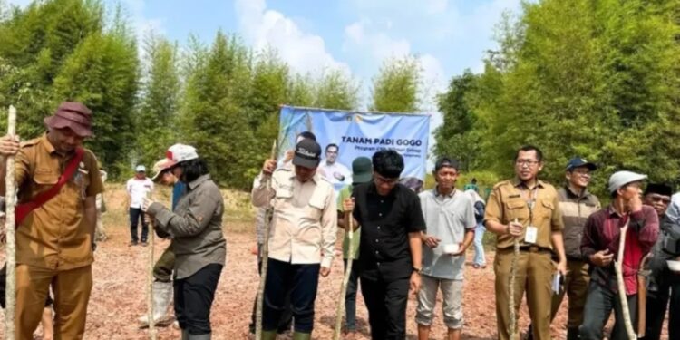 Kolaborasi Kementan dan Wilmar Gencarkan Swasembada Pangan Nasional