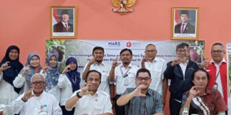BRIN dan Mars Dorong Transformasi Kakao Indonesia Lewat Varietas Unggul