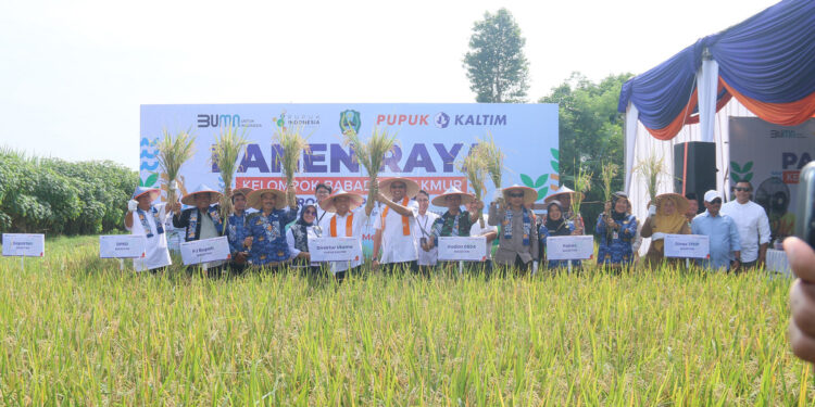 Pupuk Kaltim Catat Program Makmur Sudah Jangkau 73.723 Ha, Termasuk Kopi