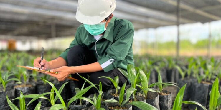 Astra Agro Resmi Rilis Varietas Unggul Baru Tahan Ganoderma