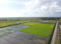 Pemerintah Catat Stok Cadangan Beras Capai Rekor Tertinggi
