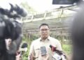 Riset dan Modernisasi Sangat Dibutuhkan pada Komoditas Perkebunan
