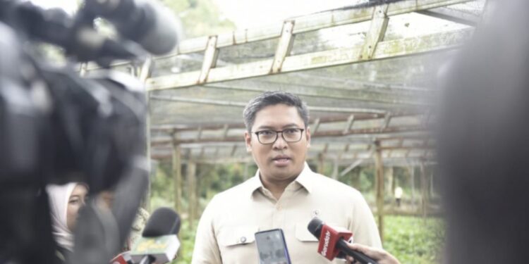 Riset dan Modernisasi Sangat Dibutuhkan pada Komoditas Perkebunan