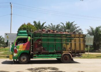 Pemanfaatan Digitalisasi di Industri Sawit Menambah Daya Saing