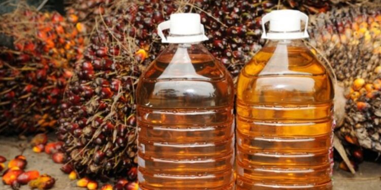 Gapki Catat Produksi dan Ekspor Sawit Maret 2025 Naik