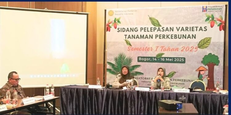 Ini Dia Enam Varietas Unggul Tanaman Perkebunan yang Baru Dilepas