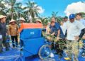 Kementan Panen Perdana Padi Gogo di Lahan PSR