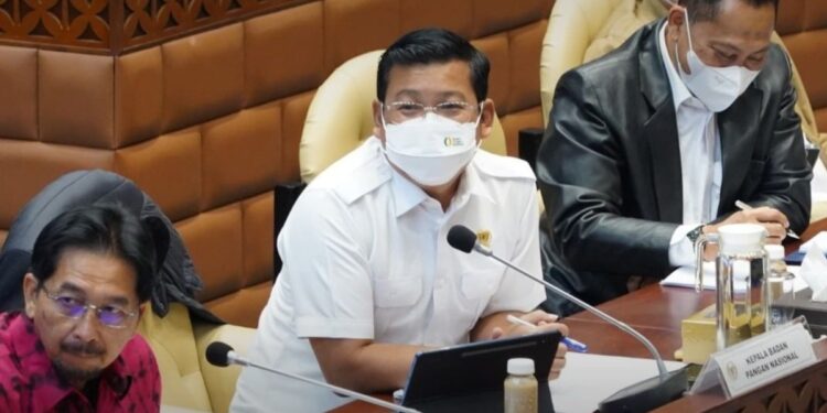 Bapanas Sebut Pentingnya Sinergi Wujudkan Swasembada Pangan Nasional