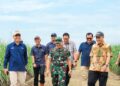 Pemerintah Lakukan Percepatan Swasembada Gula Nasional