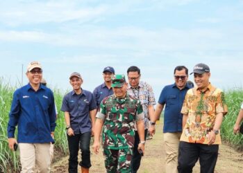 Pemerintah Lakukan Percepatan Swasembada Gula Nasional