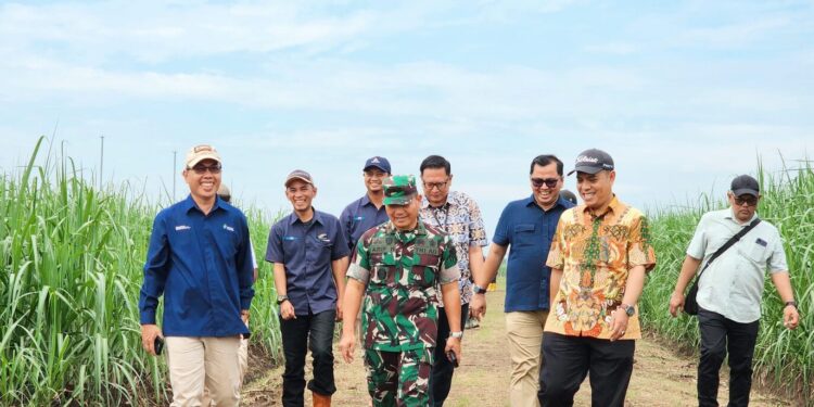 Pemerintah Lakukan Percepatan Swasembada Gula Nasional