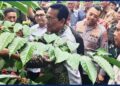 Kementan Gandeng Pemda Yogyakarta Gelar Panen Perdana Kopi
