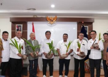 Maluku Utara Bakal Jadi Percontohan Pengembangan Kelapa Genjah