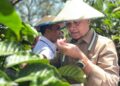 Kementrans Kembangkan Koridor Ekonomi Transmigrasi Terintegrasi
