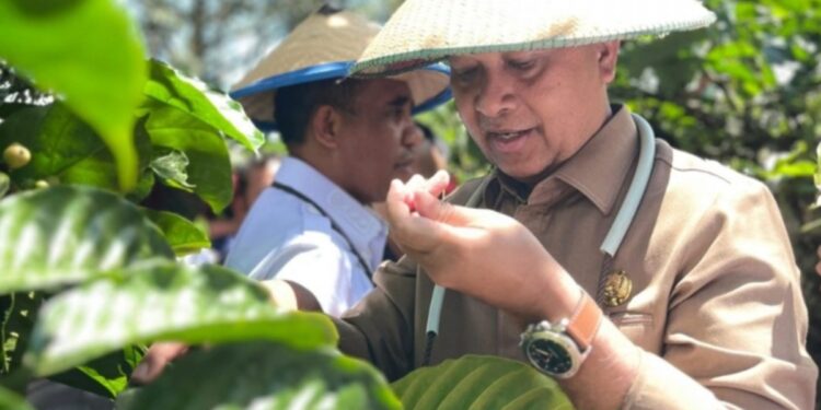 Kementrans Kembangkan Koridor Ekonomi Transmigrasi Terintegrasi