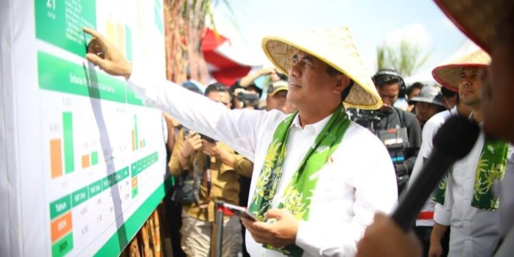 Pemerintah akan Buka Lahan 500 Ribu Ha untuk Tebu