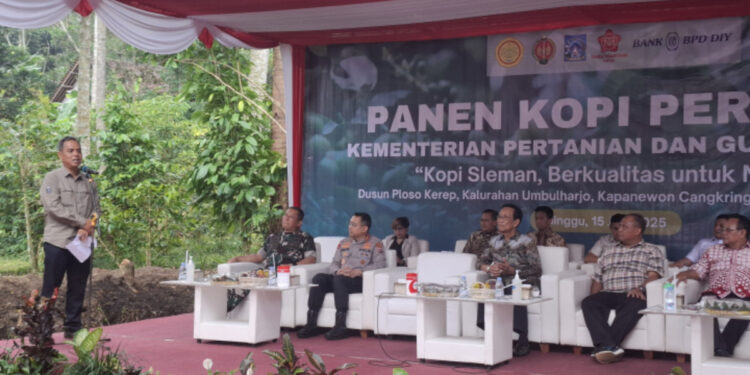 Kementan Dorong Kopi Yogya Menuju Pasar Global