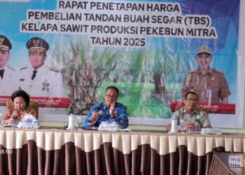 Harga TBS Kalteng Periode I Juli 2025 Kembali Naik