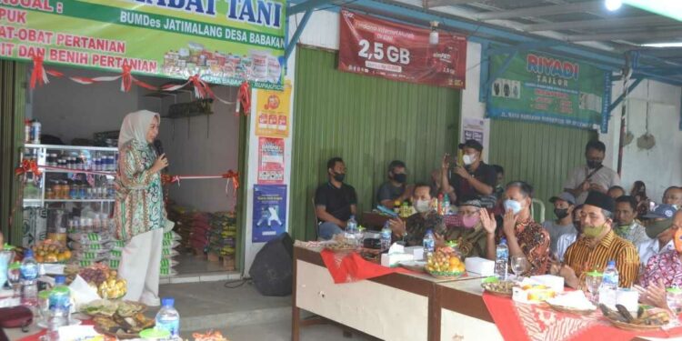 Bapanas Terbitkan Aturan Tata Kelola Distribusi Pangan