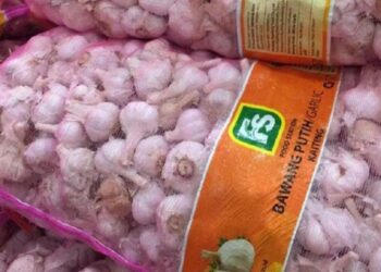 Ketergantungan Bawang Putih Impor Semakin Meningkat