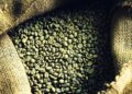 BRIN Bersama Mitra Riset Kopi yang Aman Dikonsumsi