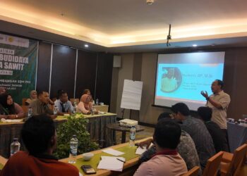 AKPY, BPDP dan Ditjenbun Tingkatkan Kompetensi Petani Sawit Luwu Utara