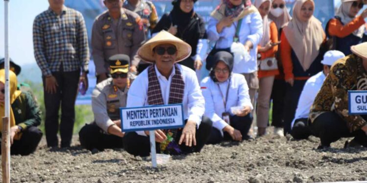 Mentan Canangkan Kabupaten Majene Sentra Baru Bawang Merah Nasional