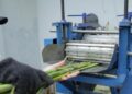 BRIN Kembangkan Mesin Pengolahan Gula dari Sorgum