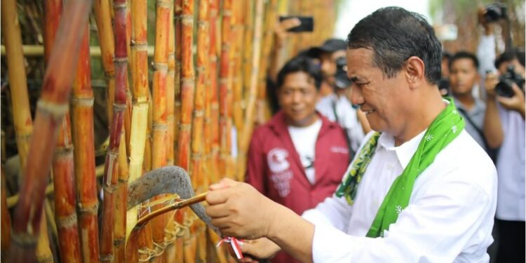KUR Berikan Kemudahan Signifikan bagi Petani Tebu