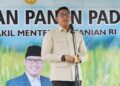 Wamentan Sebut Hilirisasi Perkebunan Kunci Wujudkan Swasembada Pangan