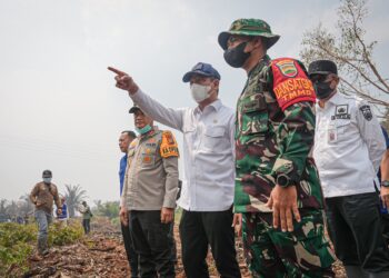 Menteri LH Tegaskan Dunia Usaha Harus Berperan Aktif Cegah Karhutla