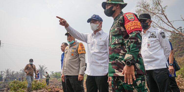 Menteri LH Tegaskan Dunia Usaha Harus Berperan Aktif Cegah Karhutla