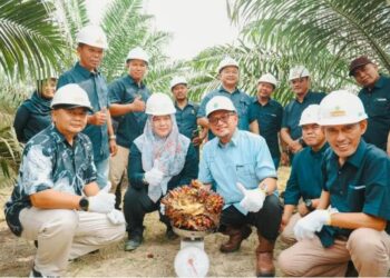 Produktivitas PTPN IV Regional III di Atas Standar Nasional