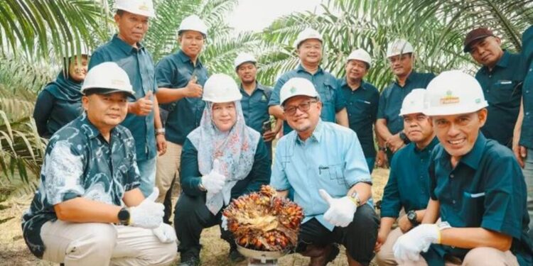 Produktivitas PTPN IV Regional III di Atas Standar Nasional