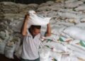 Pemerintah Siap Serap Produksi Gula Petani Harga Maksimal