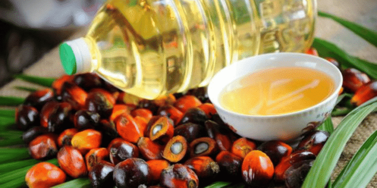 Produksi TBS Lonsum Semester I 2025 Turun Dua Persen