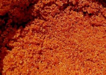 Permintaan Pasar untuk Gula Semut Capai 20 Ton per Bulan