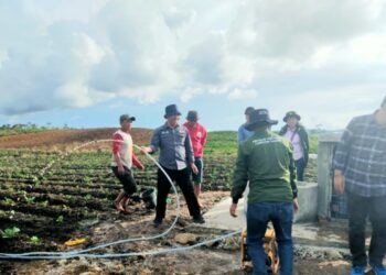 Pemerintah Percepat Rehabilitasi Jaringan Irigasi Pertanian
