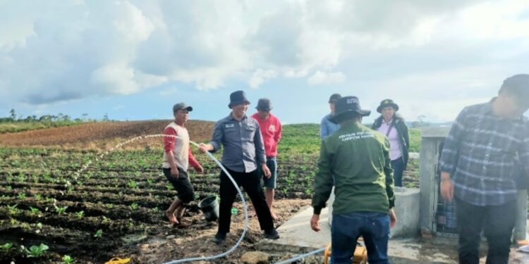 Pemerintah Percepat Rehabilitasi Jaringan Irigasi Pertanian