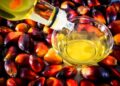 Riset Wageningen University Ungkap Sawit Ungguli Kedelai dan Rapeseed