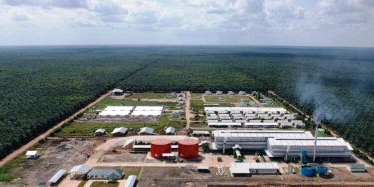 Kinerja Produksi Triputra Meningkat di Paruh Pertama 2025