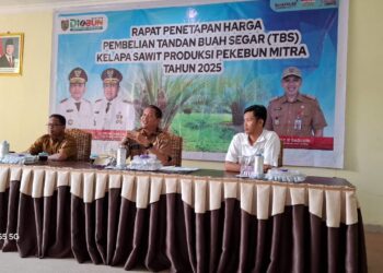 Harga TBS Kalteng Periode II Juli 2025 Kembali Naik