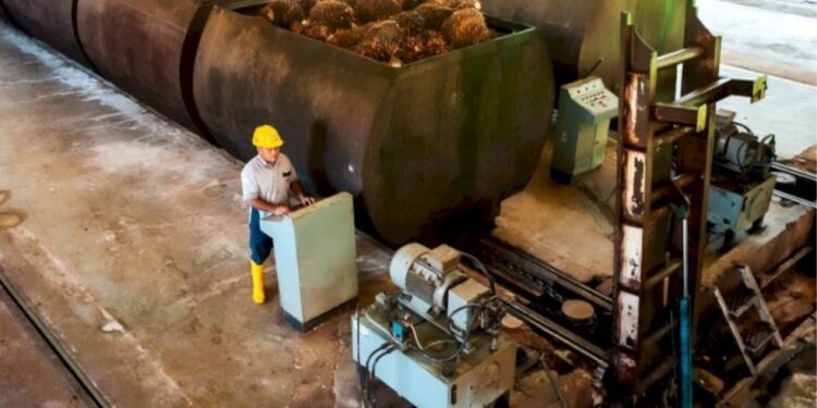 PTPN IV Regional III Targetkan Produktivitas CPO 7 Ton Per Hektar