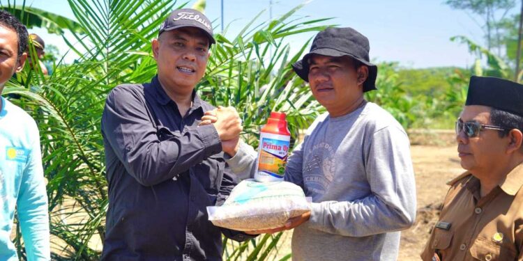 Kementan Tanam Perdana Padi Gogo di Lahan PSR