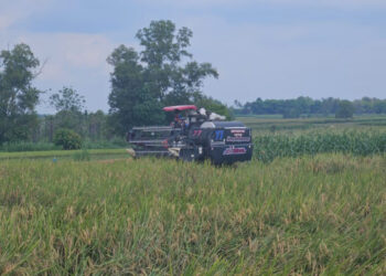 Kementan Tegaskan Pengadaan Alsintan Utamakan Kebutuhan Petani