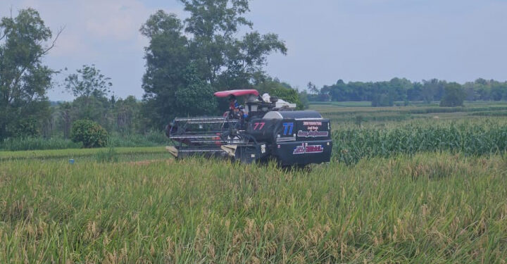 Kementan Tegaskan Pengadaan Alsintan Utamakan Kebutuhan Petani
