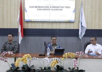 Pemerintah Berikan Sejumlah Relaksasi KUR untuk Perkebunan Tebu
