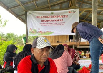 Apical Hidupkan Kembali Perkebunan Kakao Lewat Programnya di Kutai Timur
