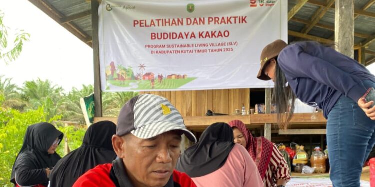 Apical Hidupkan Kembali Perkebunan Kakao Lewat Programnya di Kutai Timur