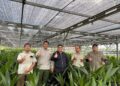 Nursery Batang Pastikan Ketersedian Benih Kelapa Bermutu